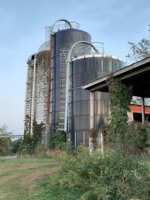 干燥厂地点:浚县粮贸公司